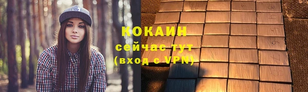 кокс Белокуриха