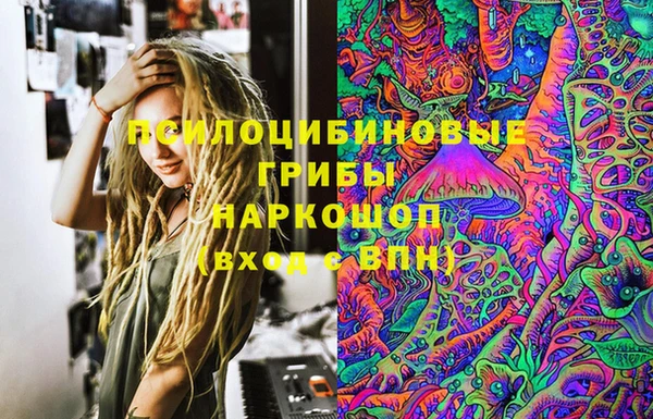 гидра Белоозёрский