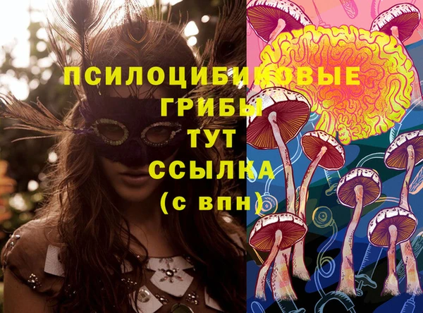 гидра Белоозёрский