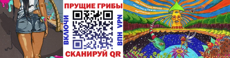 даркнет формула купить Гаврилов-Ям Псилоцибиновые грибы мицелий